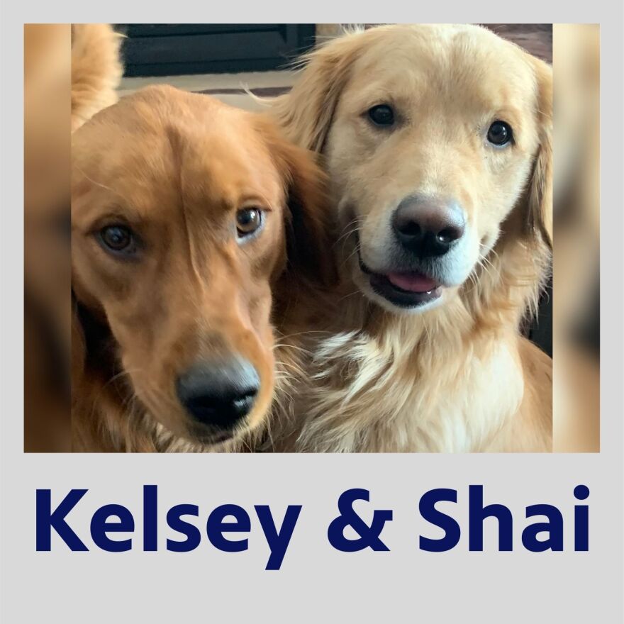 Photo of dogs Kelsey and Shai in a polaroid frame with their names in blue text underneath