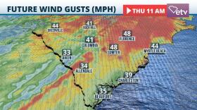 Zeta Wind Forecast