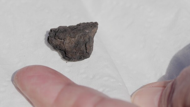 December Harris displays a small black rock she suspects is a meteorite found by her cousin and roommate, Ambra Sinclair, on their driveway in Medina, Ohio, March 17, 2026, during an interview at her home Thursday, March 19. 