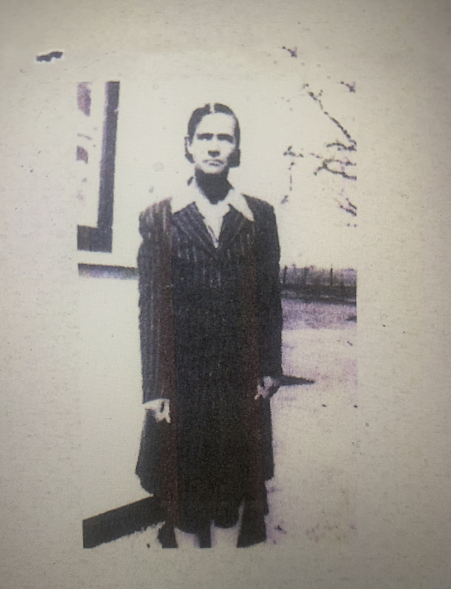 Rep. Pamelya Herndon tells her family's history