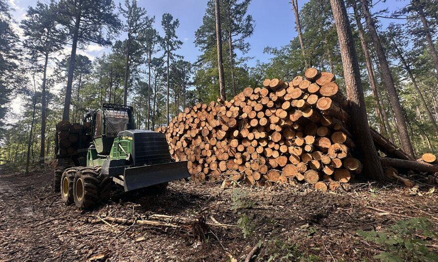 Logging equipment and a pile of felled trees sits less than a mile from the Burke Branch area of the Shawnee, which stands to lose federal protections from new road construction and timber harvesting under a proposal from the Trump administration.