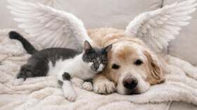 Stormy and Emmie - a picture of love