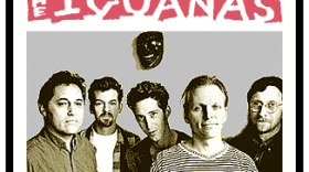 iguanas