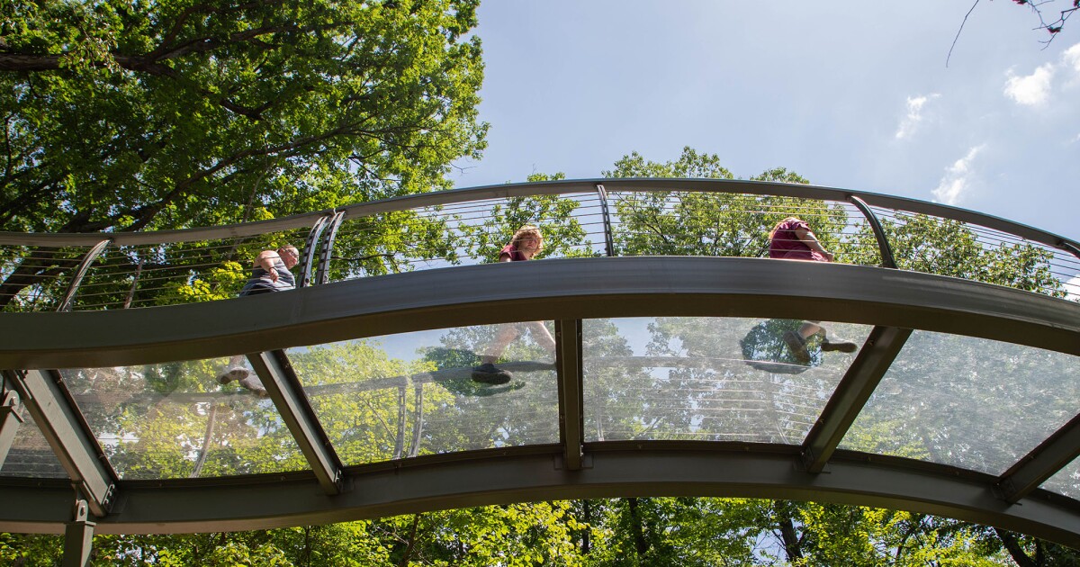 Brewing Locally Image