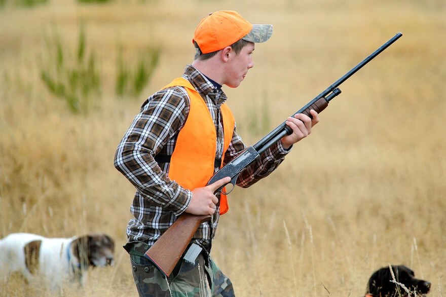 A hunter wearing an orange vest aims a rife during hunting season.