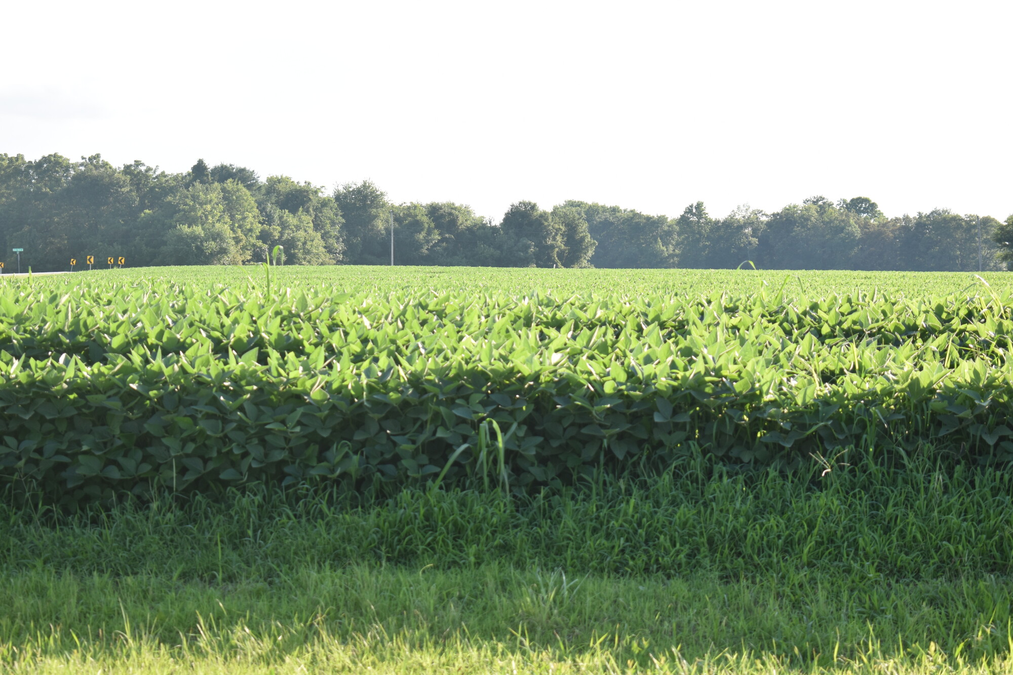 How are Delaware's farmers dealing with the drought and increased costs? episode artwork