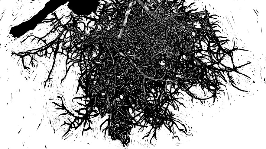 An illustration of beard lichens, a plant mentioned in writings by author J.R.R. Tolkien. It appears in <em>The Children of Húrin, The Hobbit </em>and<em> The Lord of the Rings.</em>