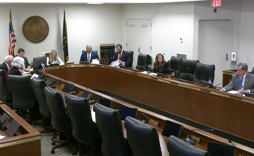 The House Domestic Relations, Business and Probate Laws Subcommittee unanimously voted Tuesday to move an eviction-sealing bill forward. Rep. Carla Schuessler of Horry County, at center frame, is the bill's lead sponsor.