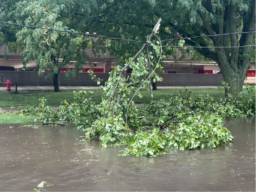 on a flooded intersection near a parking garage, a tree branch dangles from power lines.