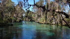 Will nature--and Florida's waterways--have legally enforceable rights?