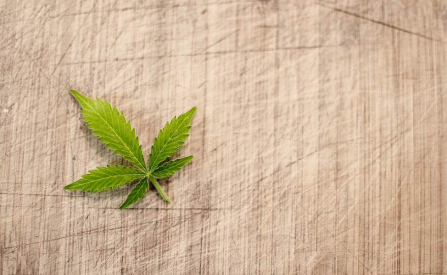 A marijuana leaf.