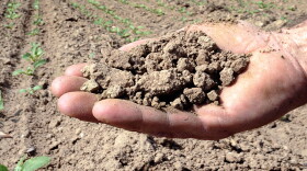Earth from a beet field in northern France hit by drought — the country's worst in 50 years. Crop shortages in Europe and the U.S. have led some experts to predict a rise in grain prices like those that sparked riots in 2008.