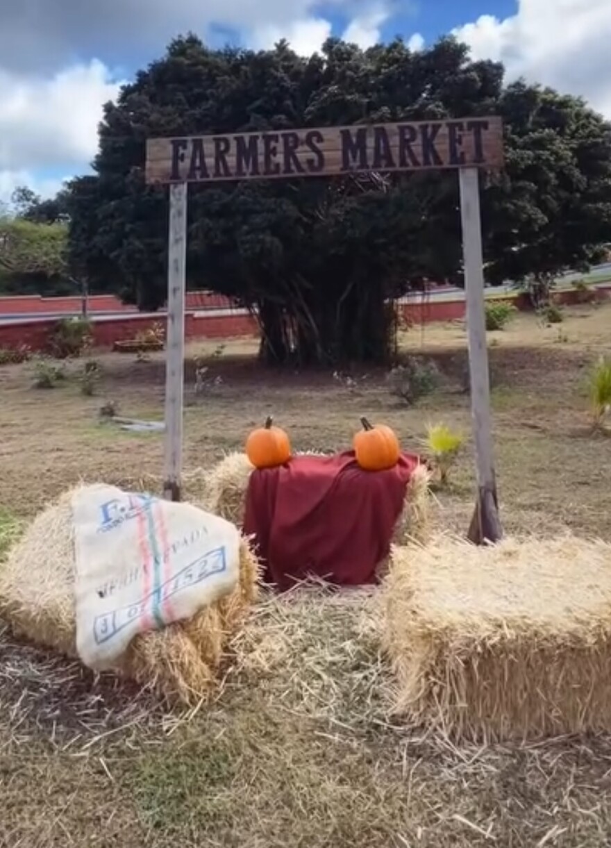 Fam Farms' Farmer's Market in Agaña Heights (2024)