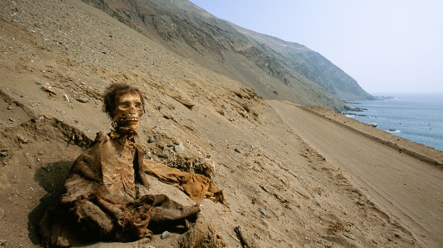 is i have lived a thousand years a true story is i have lived a thousand years a true story