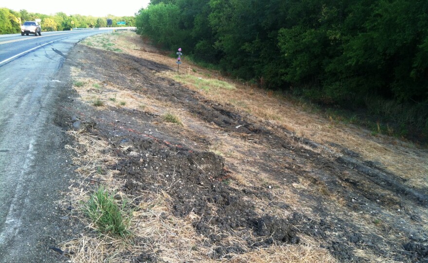 Scorched grass marks the site of the crash that killed O.G. and Vivian Brewer of Cooper on Aug. 13.