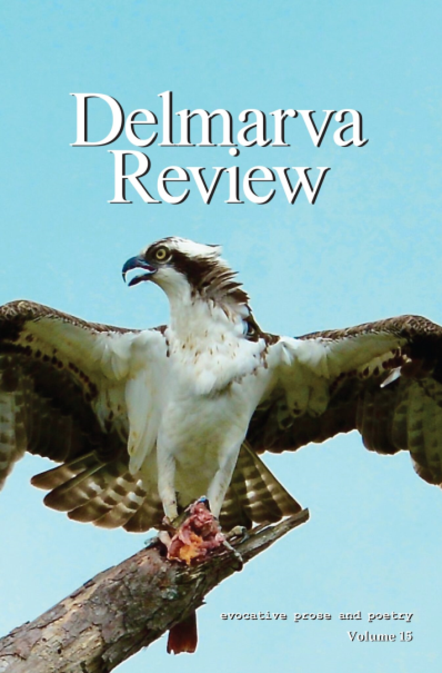 delmarva review vol 15.png