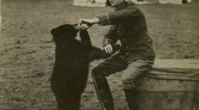 Canadian veterinarian and soldier Harry Colebourn with Winnie the bear cub. (Courtesy of Lindsay Mattick)