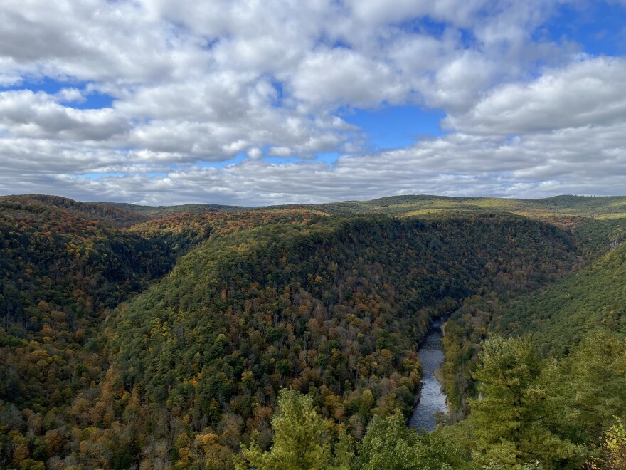 Pine Creek Gorge, often called the Grand Canyon of Pennsylvania, seen from Leonard Harrison State Park. The gorge runs through Tioga, Lycoming and Clinton counties in the PA Wilds section of the state.