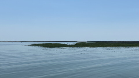 Bay waters off the Eastern Shore seen in 2022.