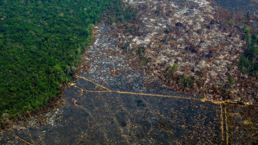 An aerial view of the Cachimbo Biological Reserve in Altamira, Brazil, reveals the scale of the burned land in the Amazon basin, back in August. Critics of Brazilian President Jair Bolsonaro trace the recent spike in fires to his administration's lax environmental policies.