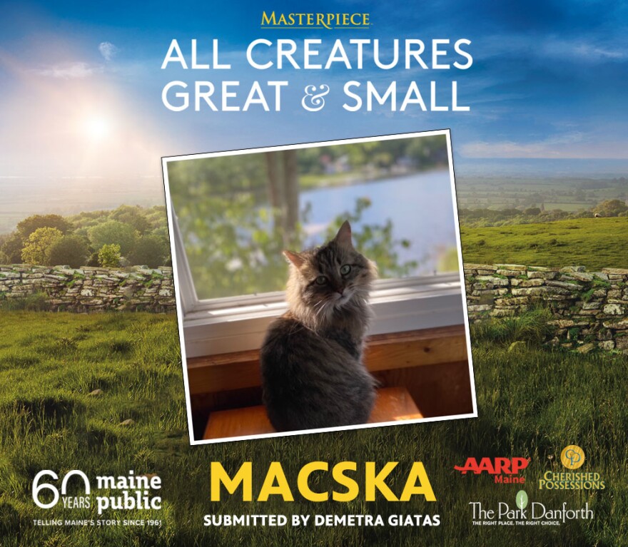 Macksa