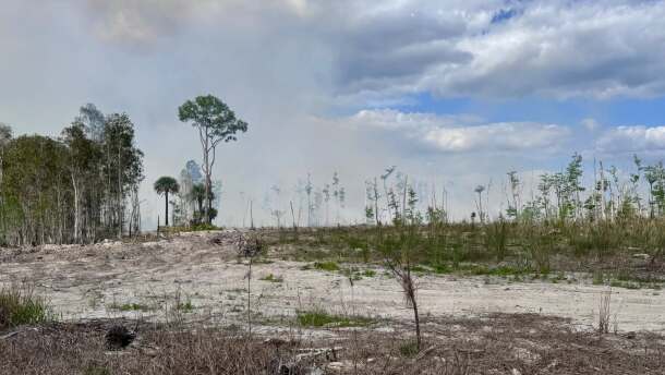 Drought conditions seen during the Railroad Fire in mid-2026 in Northeast Florida.