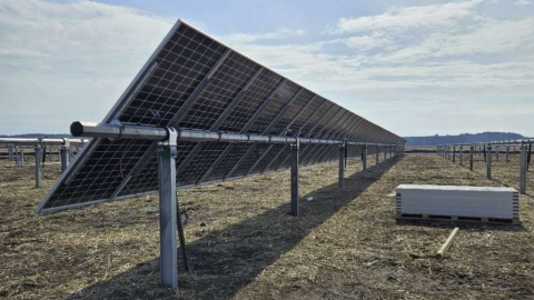 Ampion's solar farm will help power eligible homes in Wilmington's 2nd District.