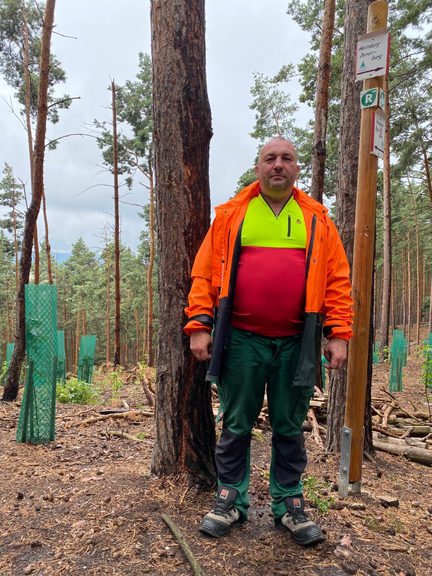 Andre Salamon, forester in the Harz Mountains in Central Germany.