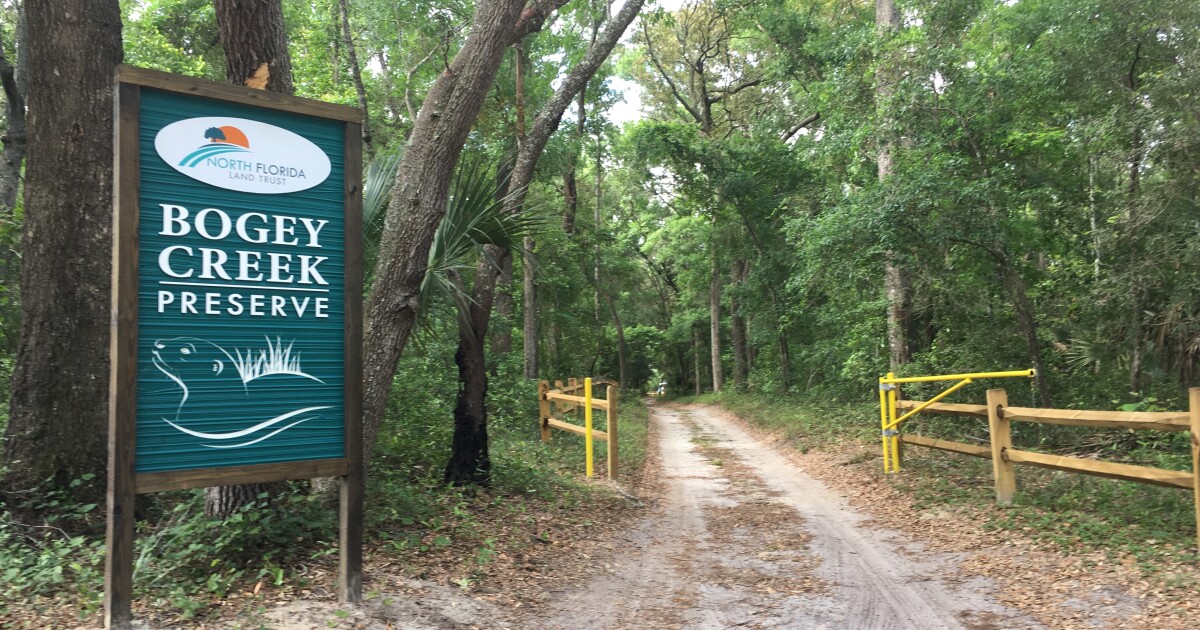 New Bogey Creek Preserve In North Jacksonville Opens This Weekend