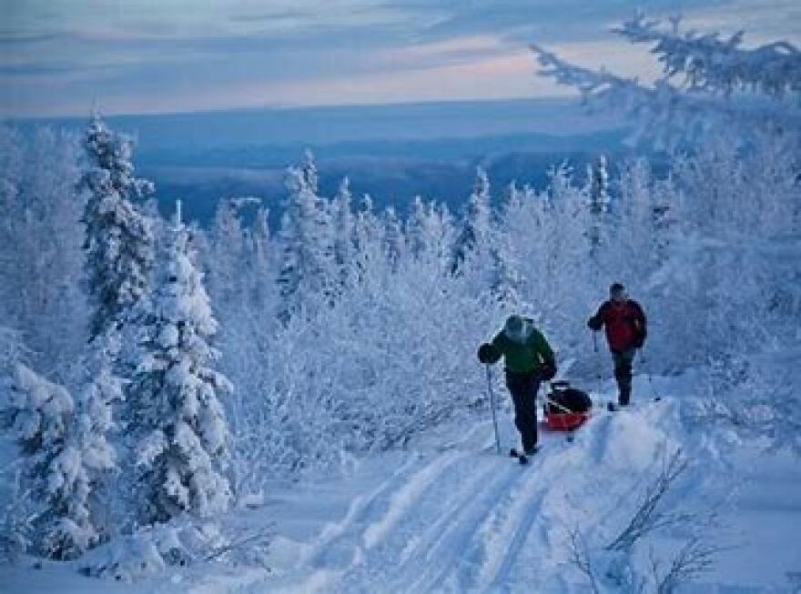 Skiers traverse the trail to Tolovana Hot Springs