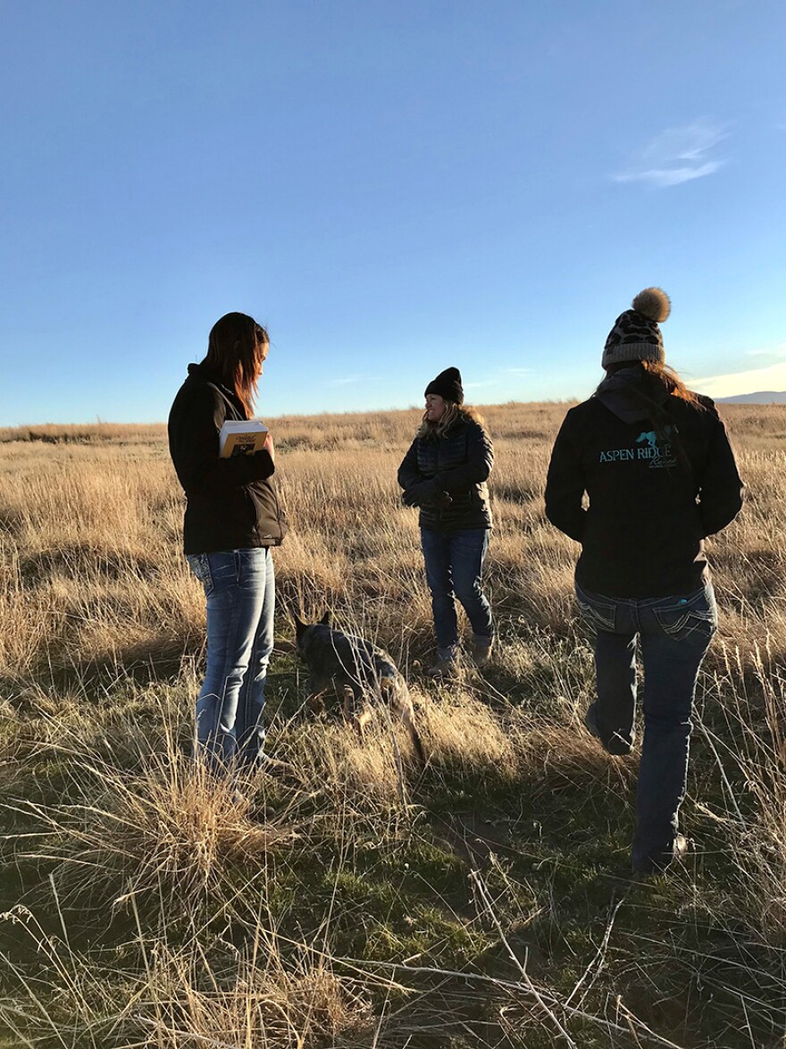 (L to R) Carbon County Extension Agent Nikki Bailey, ranch owner Kristi Overgaard and ranch manager Nykole Holmes look for weeds in a hayfield in Roberts
