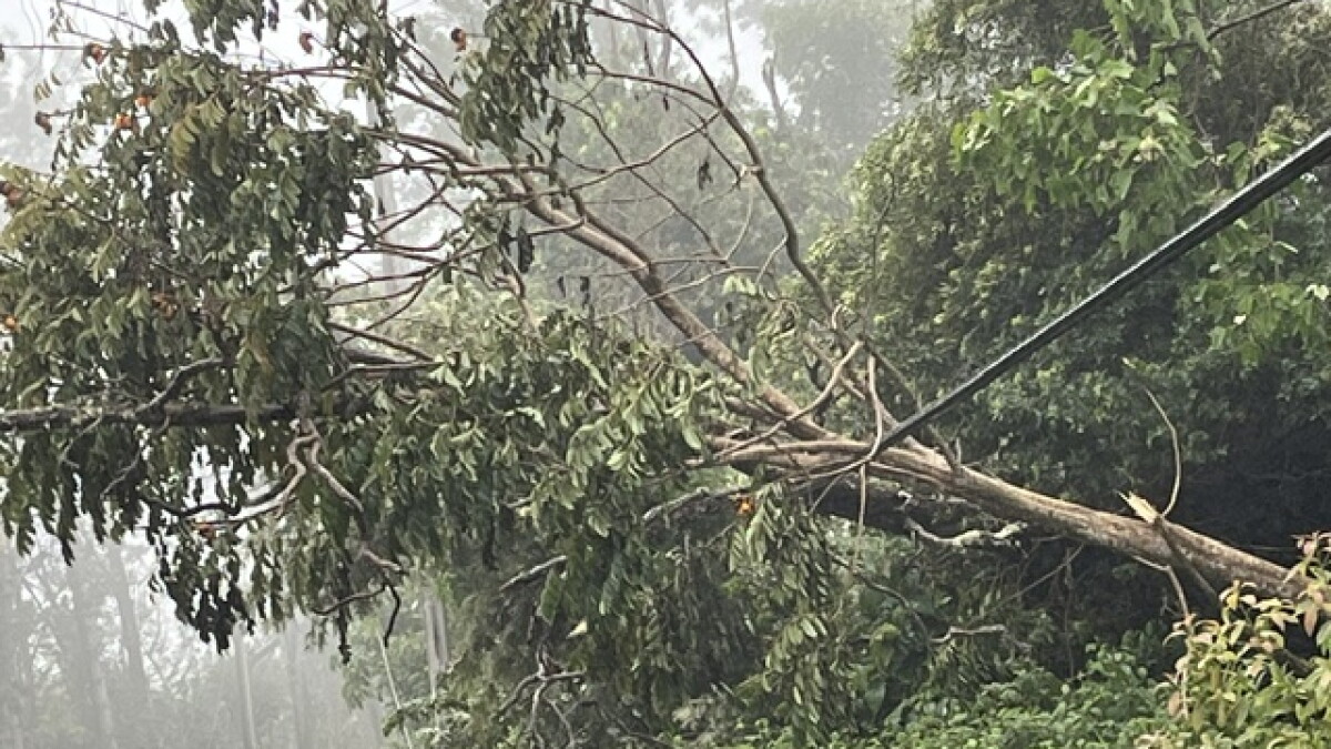Power still out for thousands of Hawaiʻi Island residents. Here's what some of them are doing