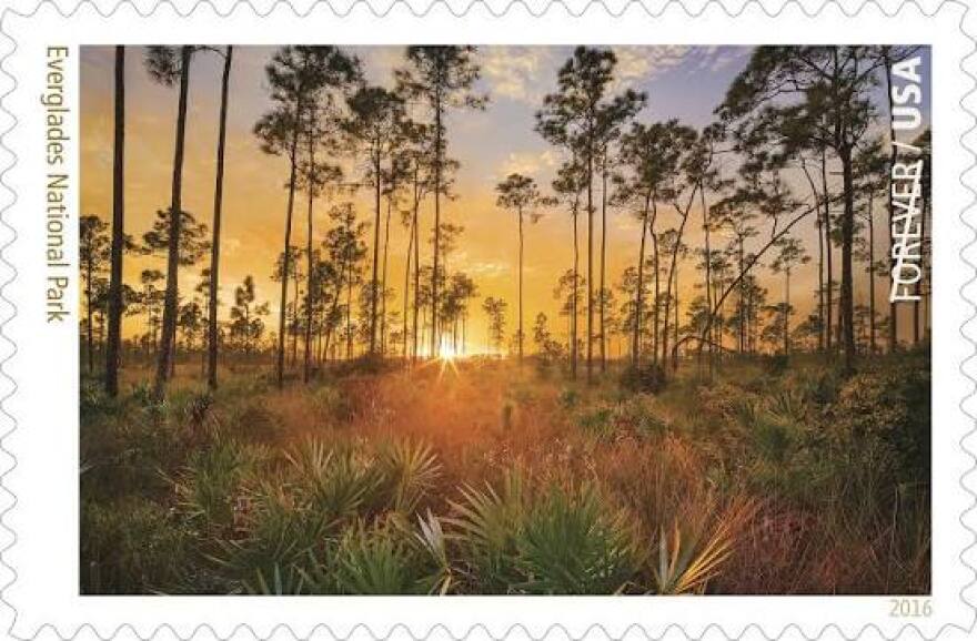 In 2016, the U.S. Postal Service featured pine rocklands in Everglades National Park on a Forever Stamp to commemorate the 100th anniversary of the National Park Service.