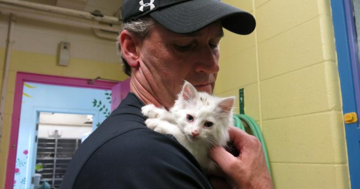 Kalamazoo County Says Yes to LongAwaited Animal Shelter