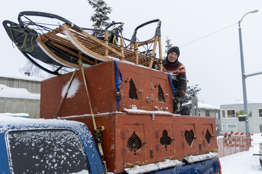 A man in a sweater stands on top of a dog box on a truck, with a dog sled on top.