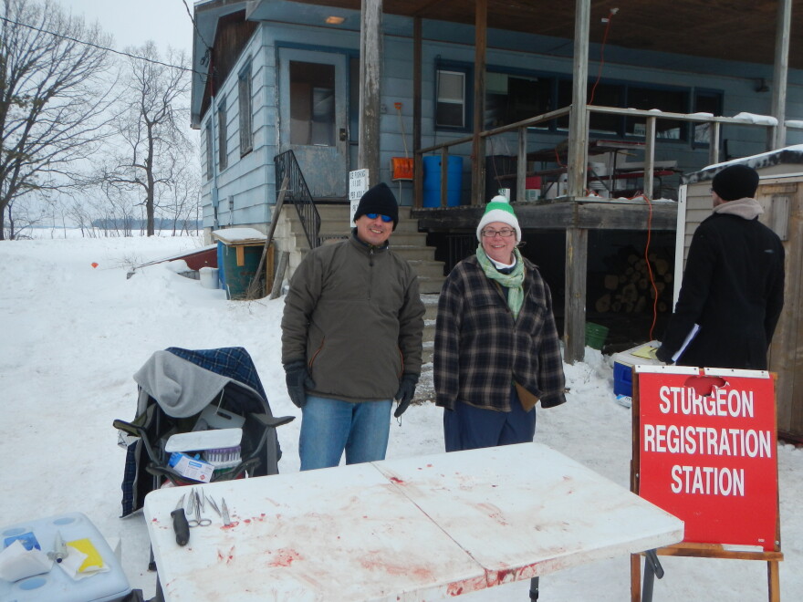 Rebecca Klaper (right) with postdoctoral student Gustavo Dominguez collecting tissue for genomics research at a sturgeon spearing site in 2015.