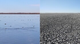 Two photos showing wetlands full of water and dry