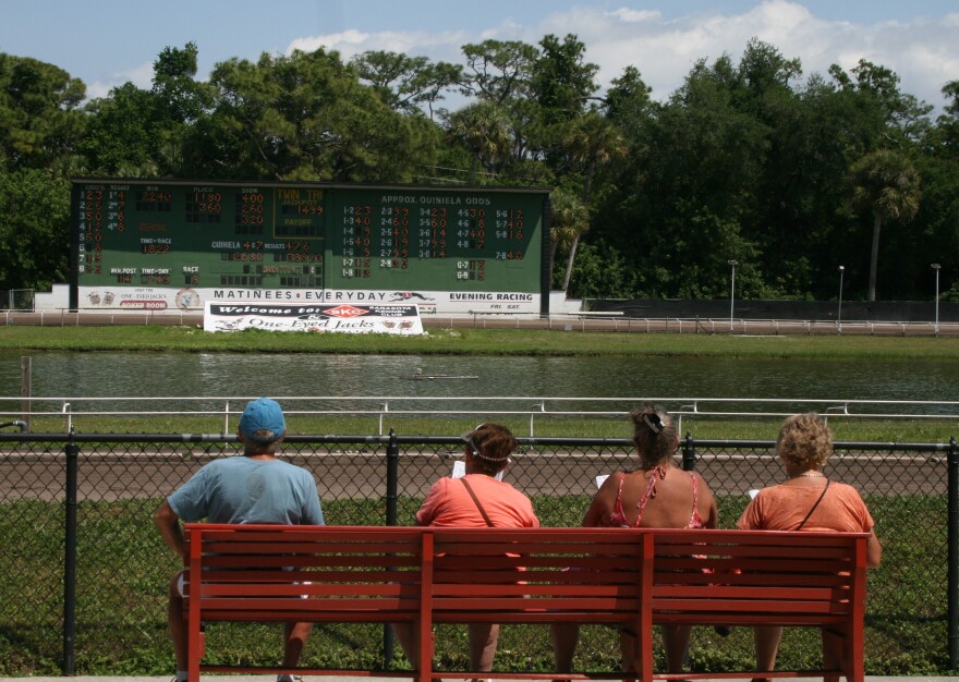 Spectators at a greyhound racing track in Sarasota.