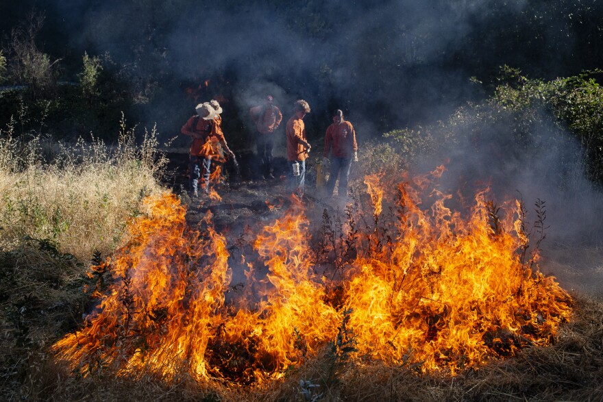 Seasonal Karuk youth workers keep a burn in check with bladder bags.