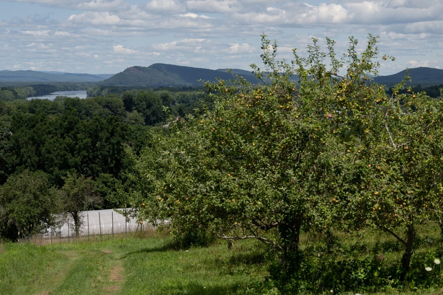 The Connecticut River can be seen from the apple orchard owned by Carr's Ciderhouse, in Hadley, Massachusetts.