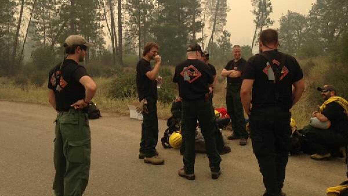 Forest fire risk in Delaware is low for this summer - Vimarsana News