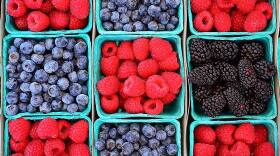 Summer time is berry time at the farmers market.