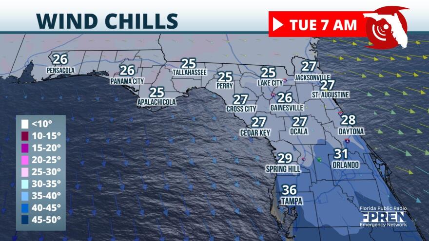 First Freeze Of Winter Expected Tonight In Florida Panhandle | WUSF Public Media