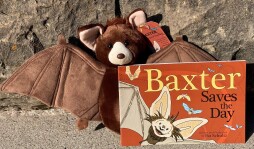 Baxter Saves the Day.jpg