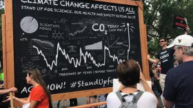 Participants in the 2017 People's Climate March.