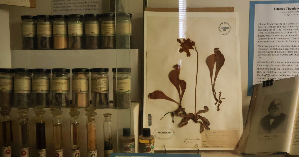 UNC and Duke herbaria to merge in Chapel Hill, two years after Duke announced plant collection cannot stay on campus