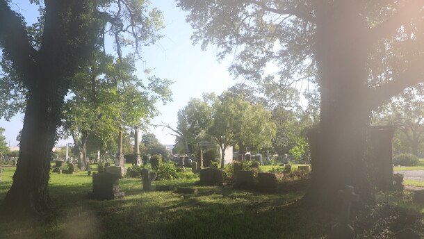 Graves at Norfolk's Elmwood Cemetery in September 2026.
