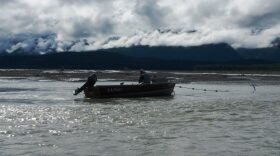 A subsistence fisherman checking his net in the Chilkat River.