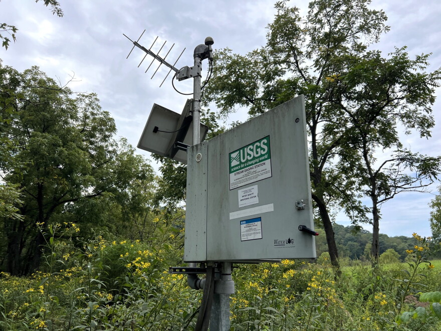 A USGS streamgage is situated in a bank of yellow flowers.