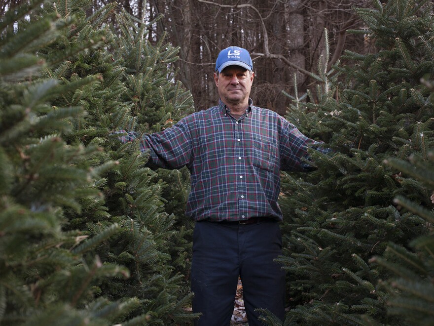 Joey Clawson at one of his Christmas tree stands on the first day of harvest. He grows about 95,000 firs on his operation.